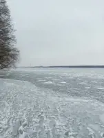 https://s3.moifotki.org/z/2107dd3242014e4f9b69c0b72df6ebbe.jpg