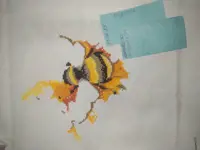 https://s3.moifotki.org/z/41837f3c244340f18817487ca6ecbce9.jpg