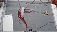 https://s3.moifotki.org/z/4f1d500da8594bb6904618c2bec22ff9.jpg