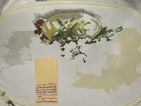 https://s3.moifotki.org/z/51f2722248e34c4ea173196c5182a595.jpg