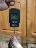 https://s3.moifotki.org/z/588a9d870f114b14a547cca09ae6bc3b.jpg
