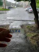 https://s3.moifotki.org/z/620659da69d44737aa5b56e4ab52dfac.jpg