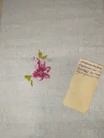 https://s3.moifotki.org/z/70ab0e49b9ea4cfdb636c40b8782858e.jpg