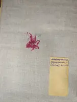 https://s3.moifotki.org/z/881f920bcfcd47c49bc355a8f5cdd0c9.jpg