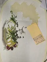 https://s3.moifotki.org/z/d7c916f988334c10928e1464765300da.jpg