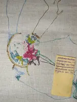 https://s3.moifotki.org/z/dd8af56b04d04f31a965a2a23251b590.jpg