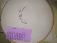 https://s3.moifotki.org/z/e50713348eaf482cb88b3183faf62d0a.jpg