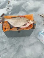 https://s3.moifotki.org/z/e659c46448324b8aafaa5500debcf106.jpg