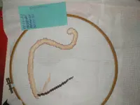 https://s3.moifotki.org/z/fa55ad26912d481195b7ba40729f7e0e.jpg